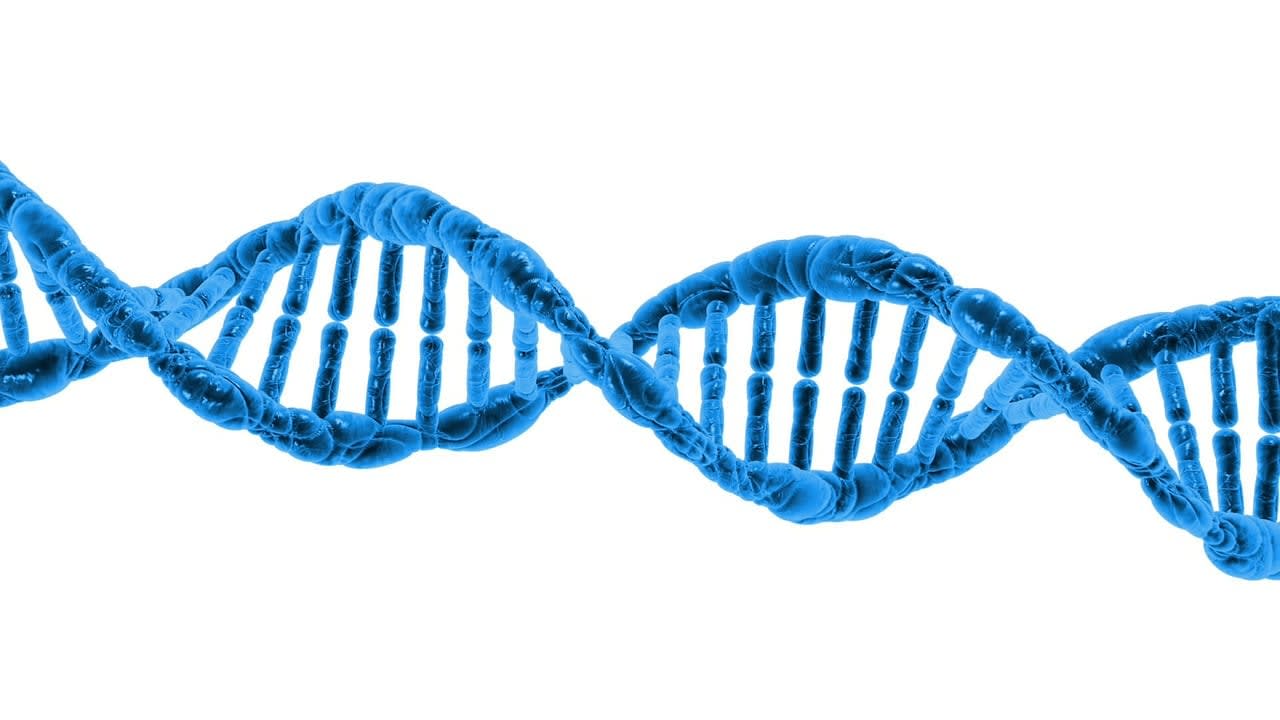Imagen relacionada con Despierta tu ADN Espiritual, La Evolución Humana ha Comenzado