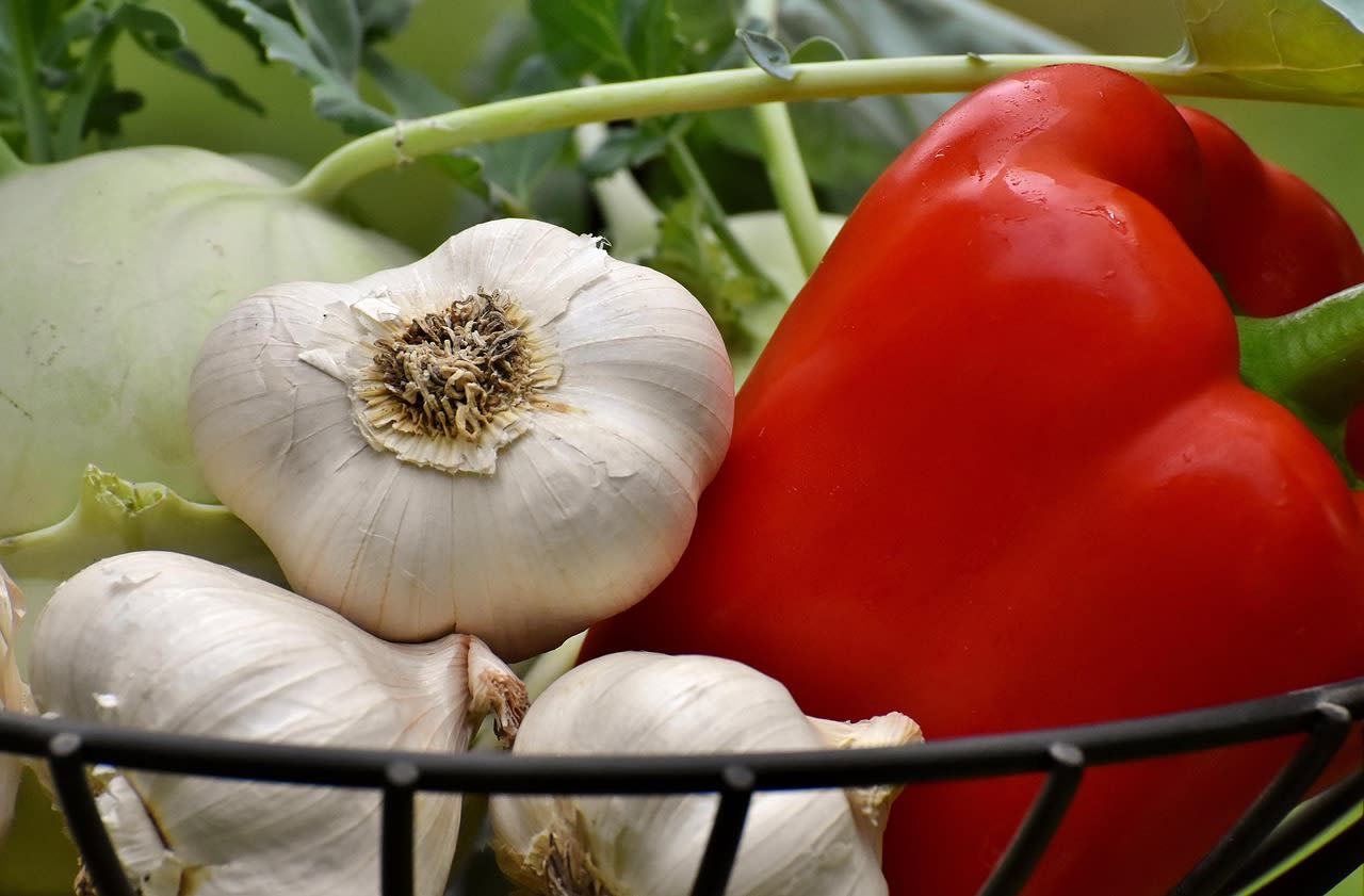Ajo: Funciona como antibiótico, antioxidante y antiinflamatorio natural – imagen 3 Imagen relacionada con Ajo: Funciona como antibiótico, antioxidante y antiinflamatorio natural