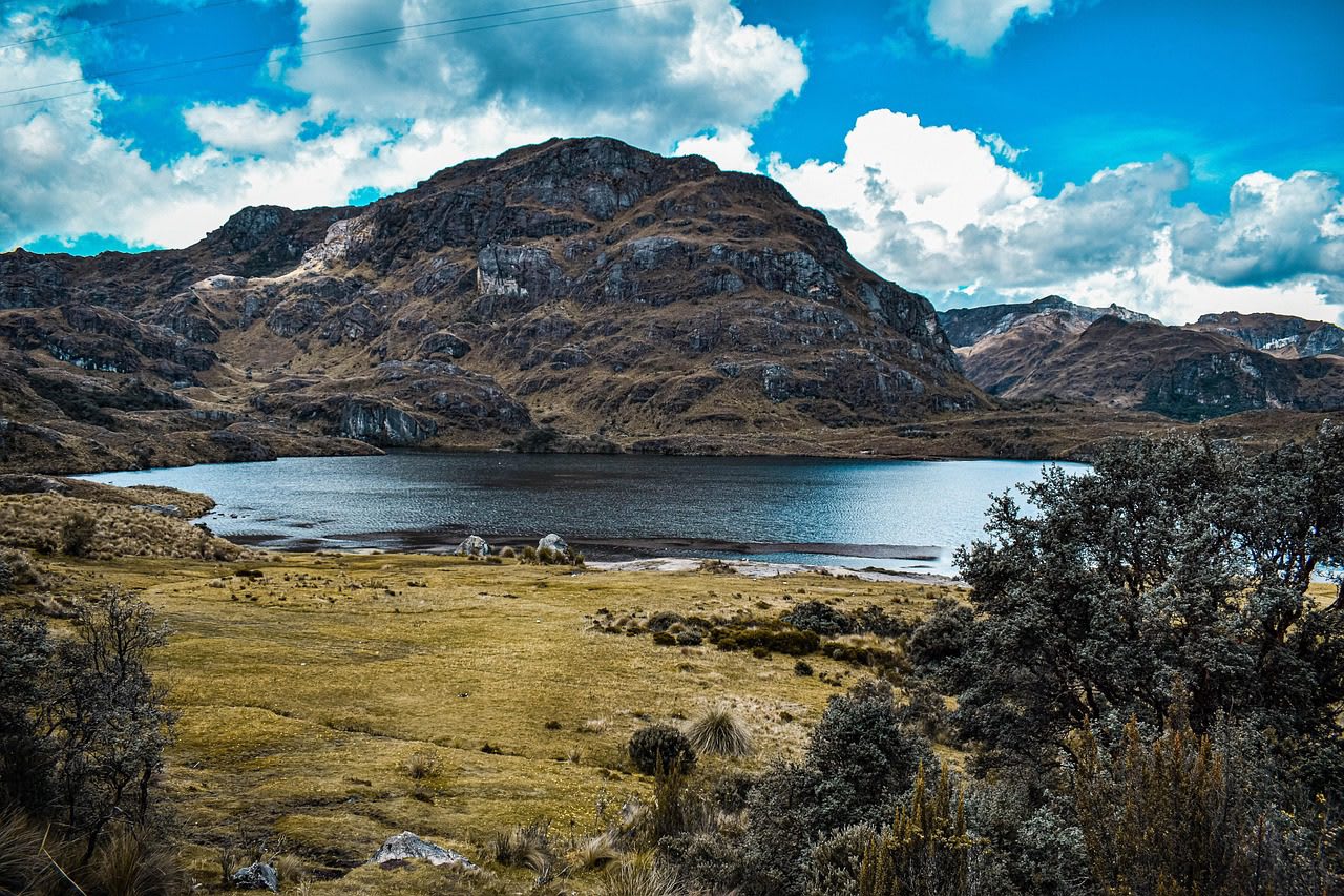 Ecoterapia y conexión con la naturaleza – imagen 2 Imagen relacionada con Ecoterapia y conexión con la naturaleza