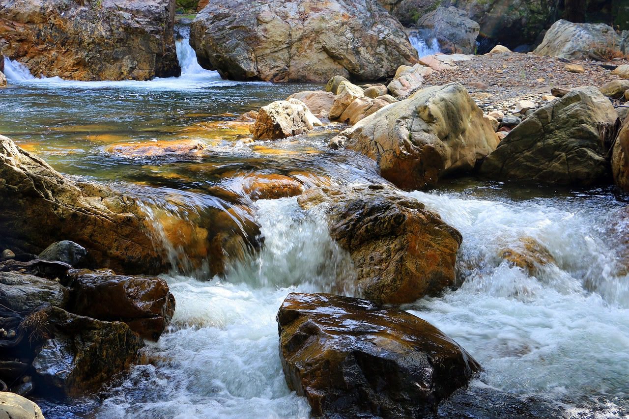 Se rumorea que la Elite va por el AGUA, DOLOR DE ESTÓMAGO 1 Imagen relacionada con Se rumorea que la Elite va por el AGUA, DOLOR DE ESTÓMAGO