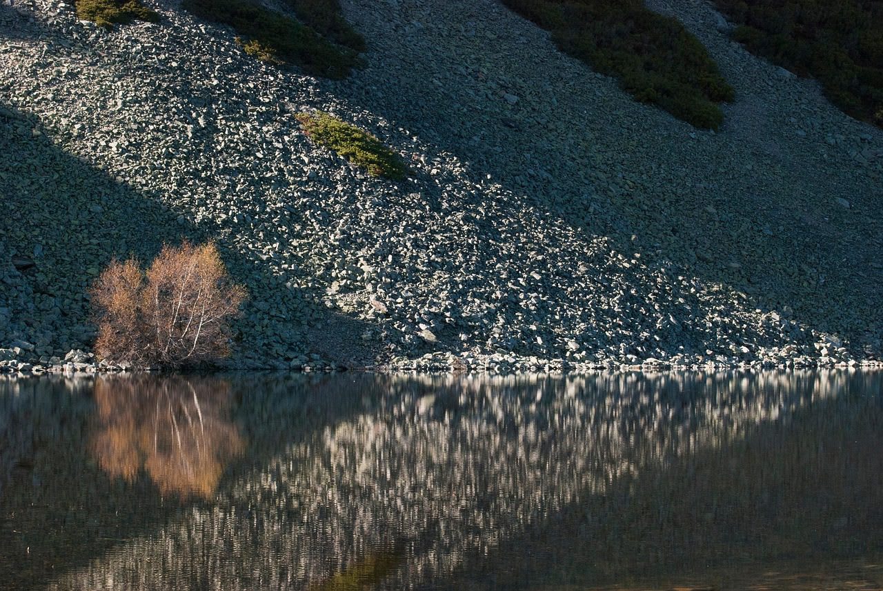 La naturaleza como medio de cura