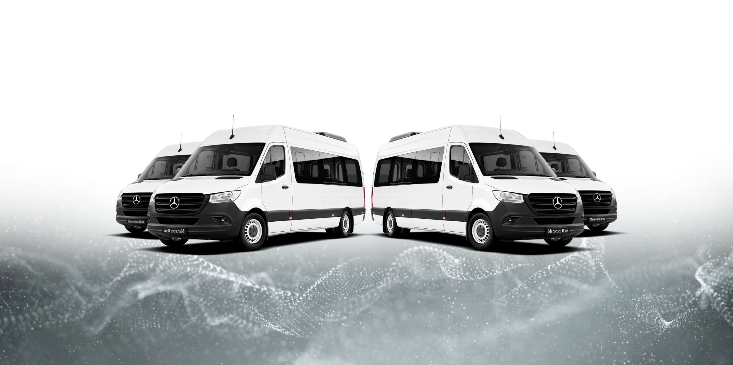 TRANSLEO Servicio de Transporte 1 TRANSLEO2026