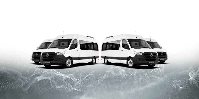 TRANSLEO Servicio de Transporte