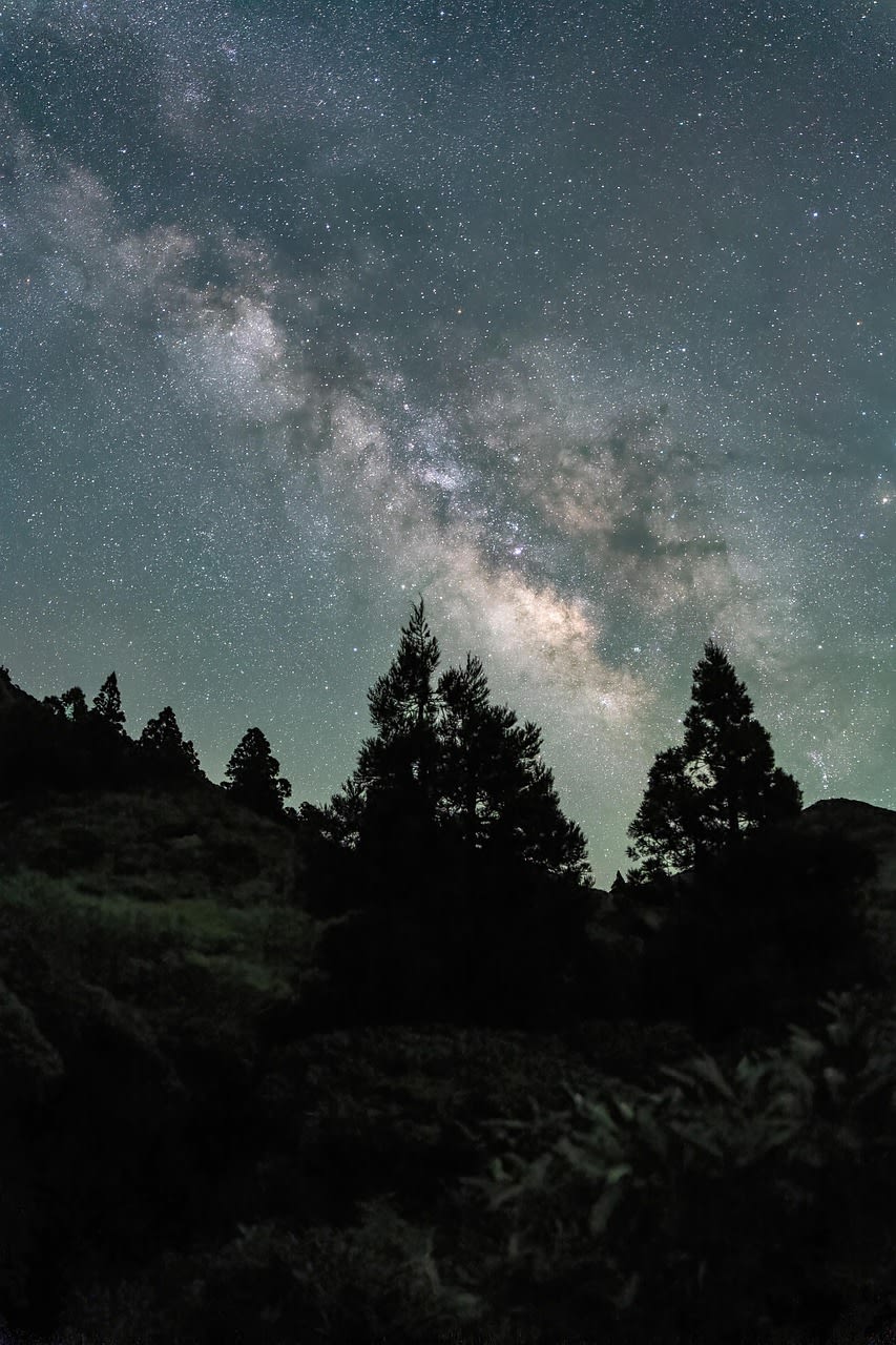 Imagen relacionada con Si estás leyendo esto, el Universo tiene un mensaje urgente para vos