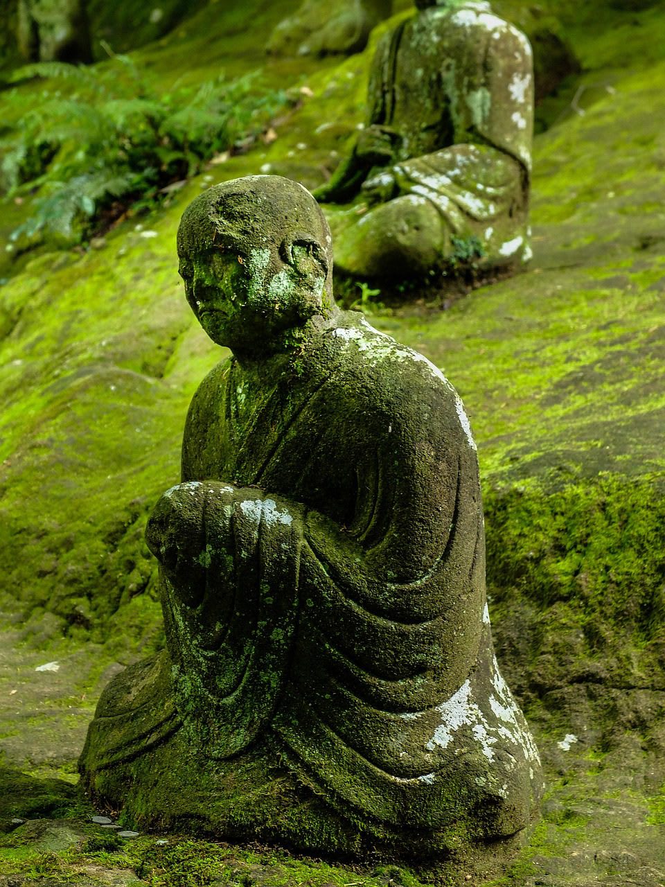 Por qué saltamos de un pensamiento a otro cuando MEDITAMOS 1 Imagen relacionada con Por qué saltamos de un pensamiento a otro cuando MEDITAMOS