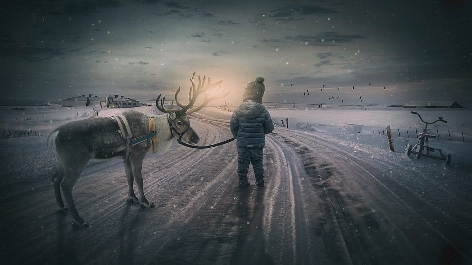 Amnesia Onírica, Por qué Olvidamos Nuestros Sueños
