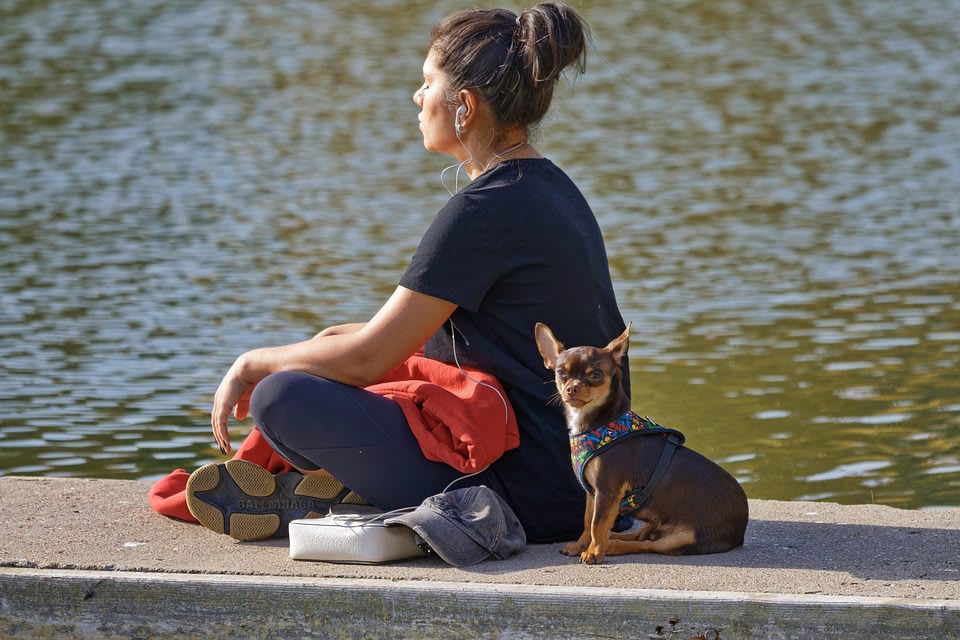 LEY DE ATRACCION, MEDITACION