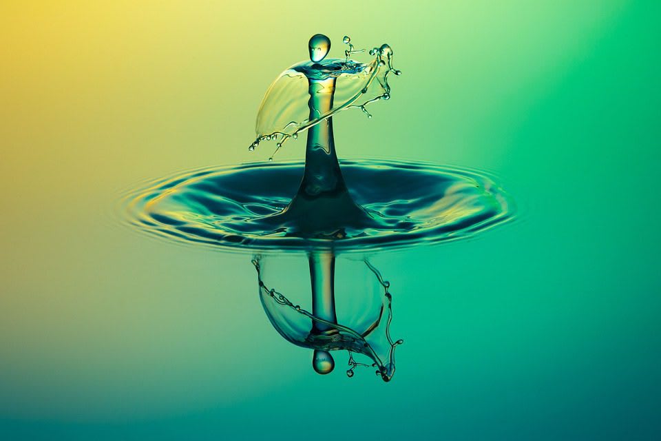 EL SECRETO DEL AGUA, Vibraciones positivas en tu hogar 1 agua y el crecimiento de vibraciones positivas