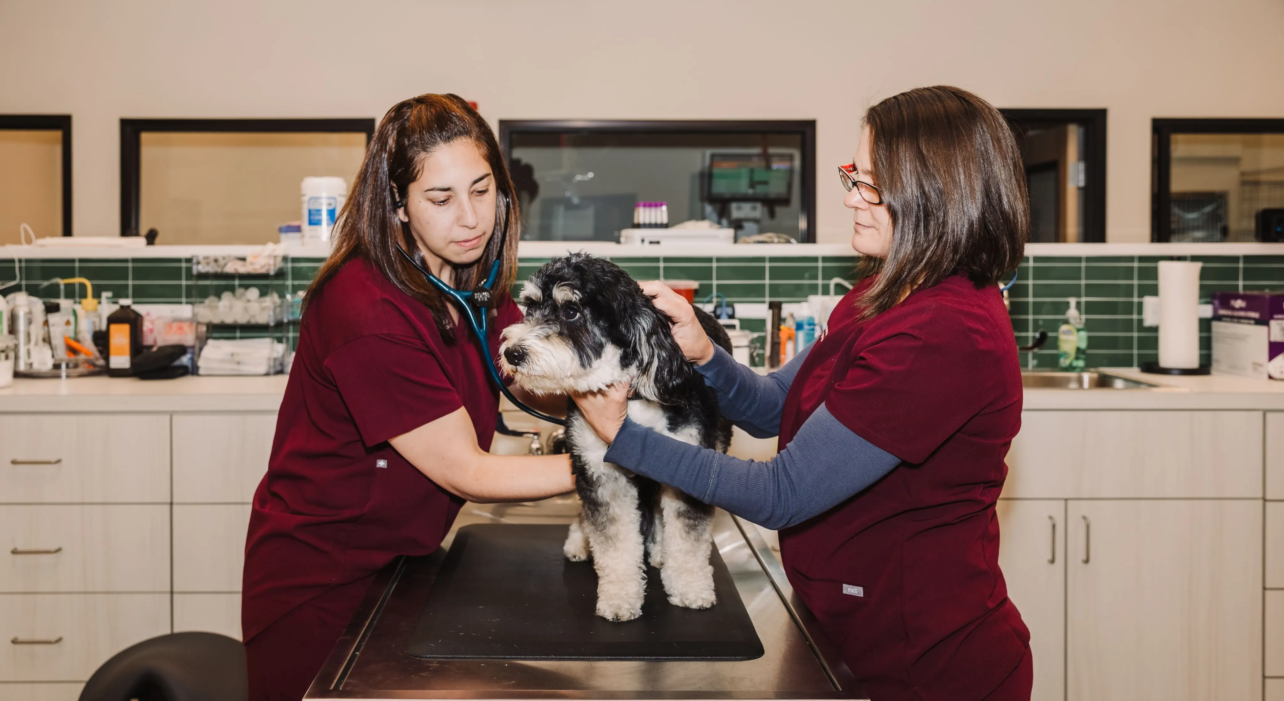 Ruby Vet vs. Emergency Room