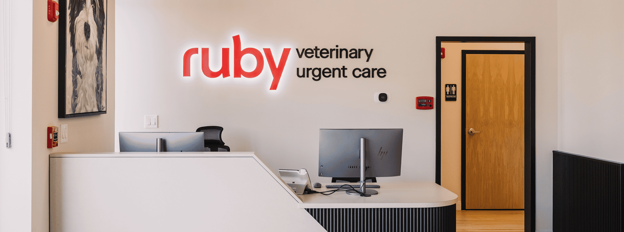 Experienced Vets in Johns Creek for Same-Day Urgent Pet Care