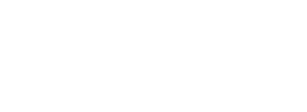Nicola Wealth Logo