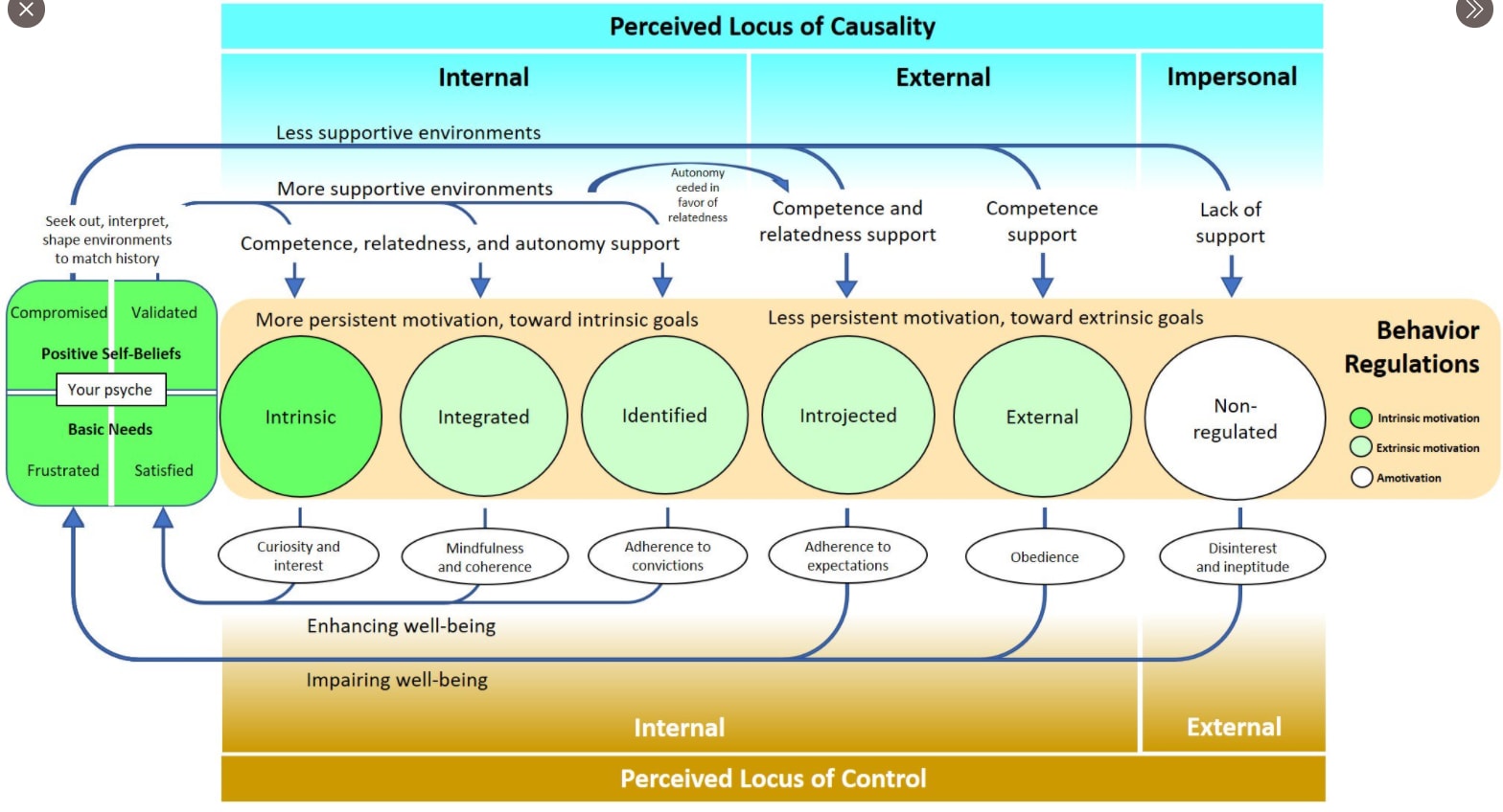 A diagram connecting perceived causality, need support, motivation, behavior regulation, and locus of control.