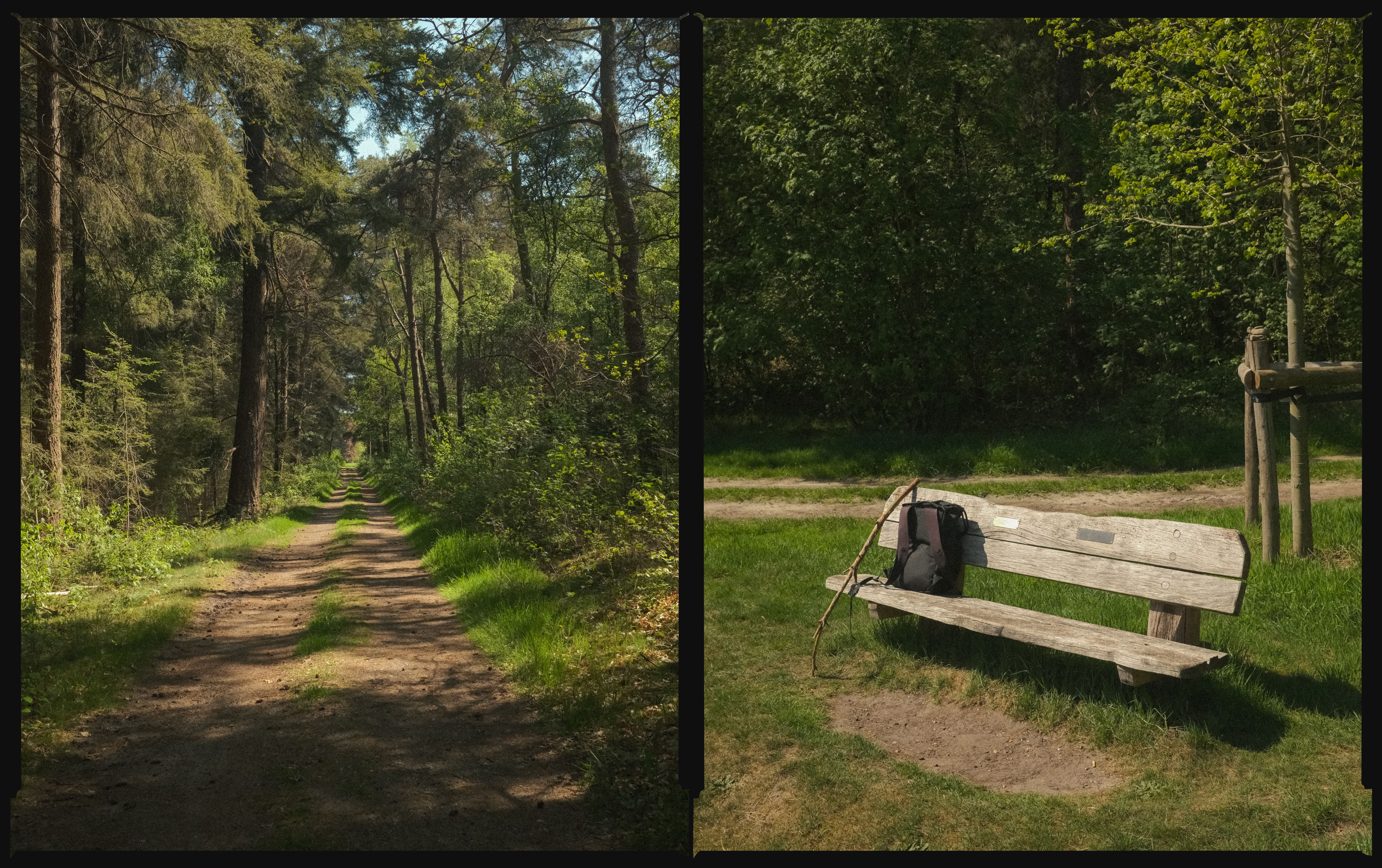 Daynote image