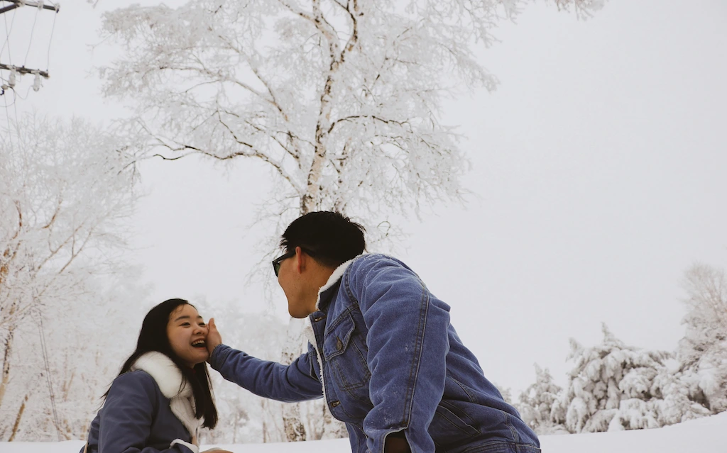 Manali Package