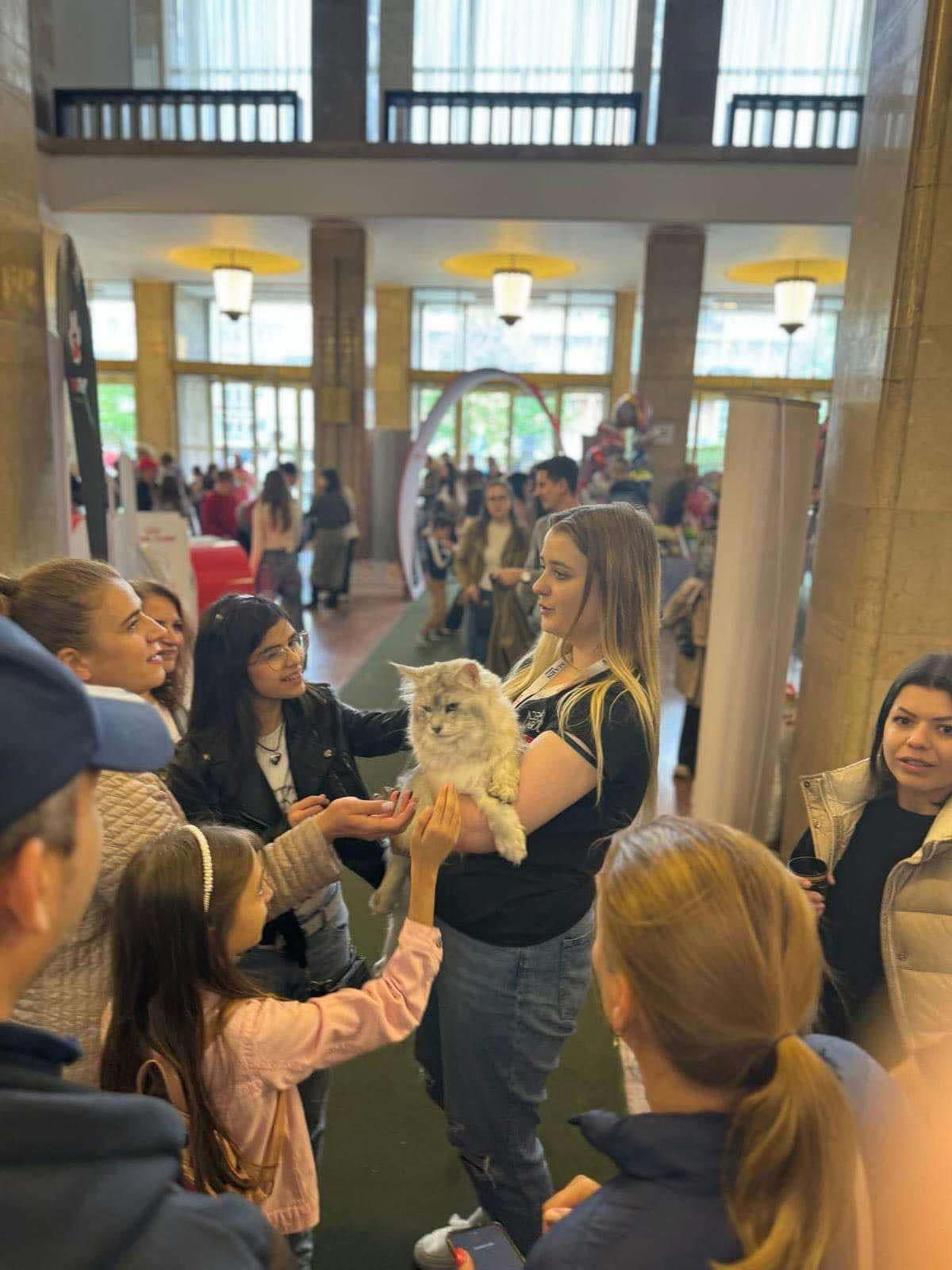 International Show Bucuresti 2024