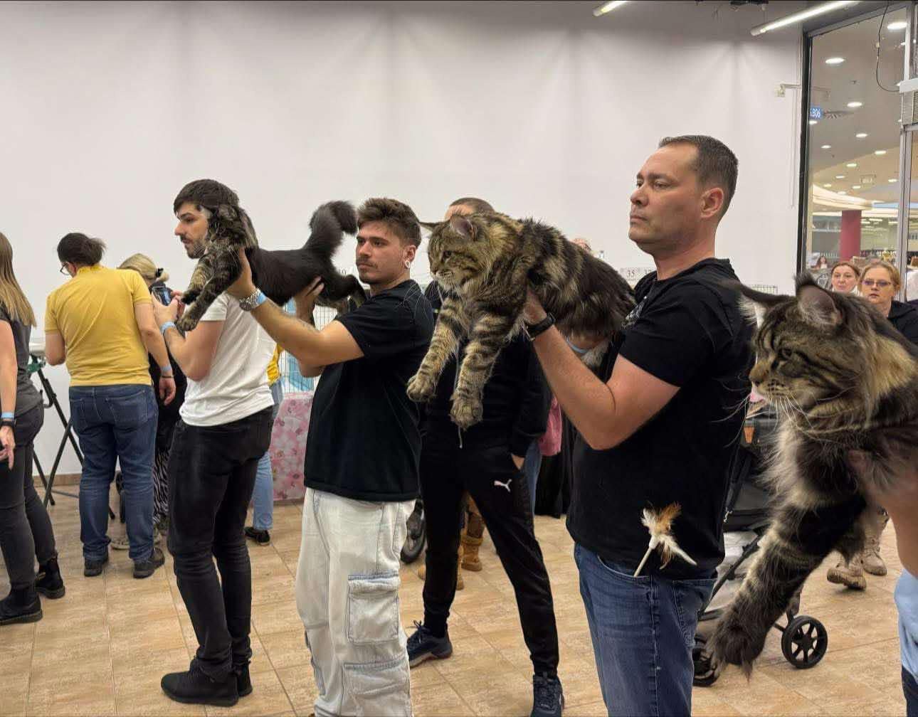 International Show Budatepsta 2024