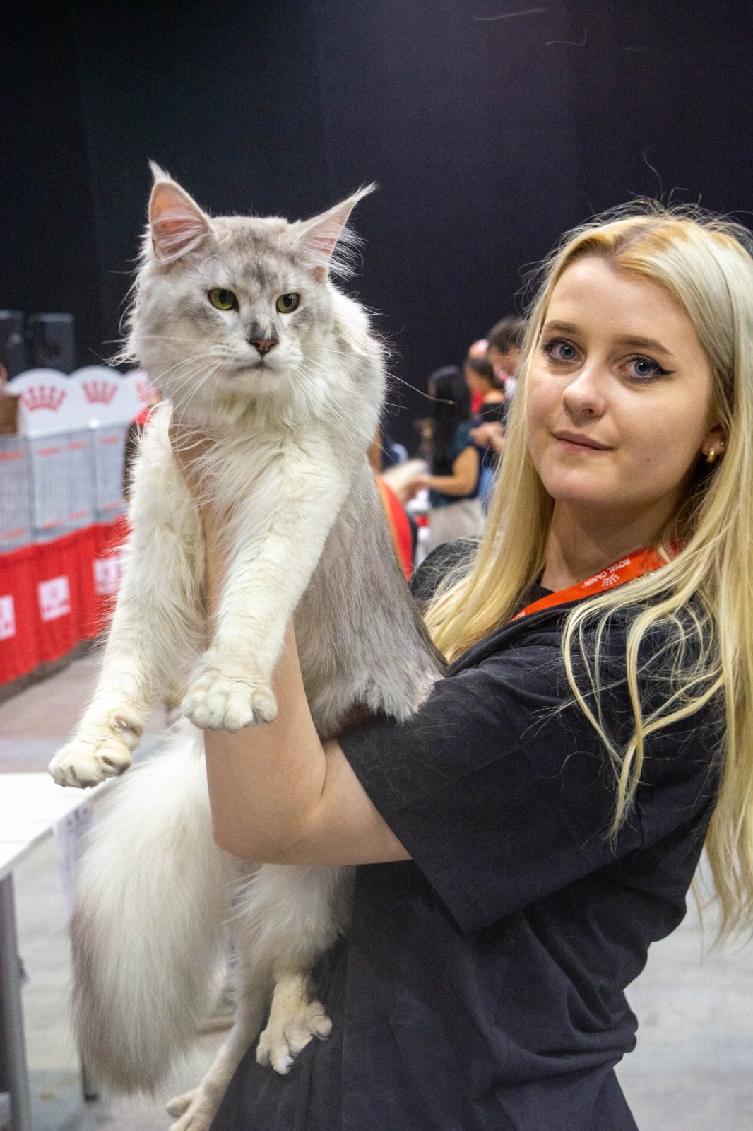 Future of Gina's Dream