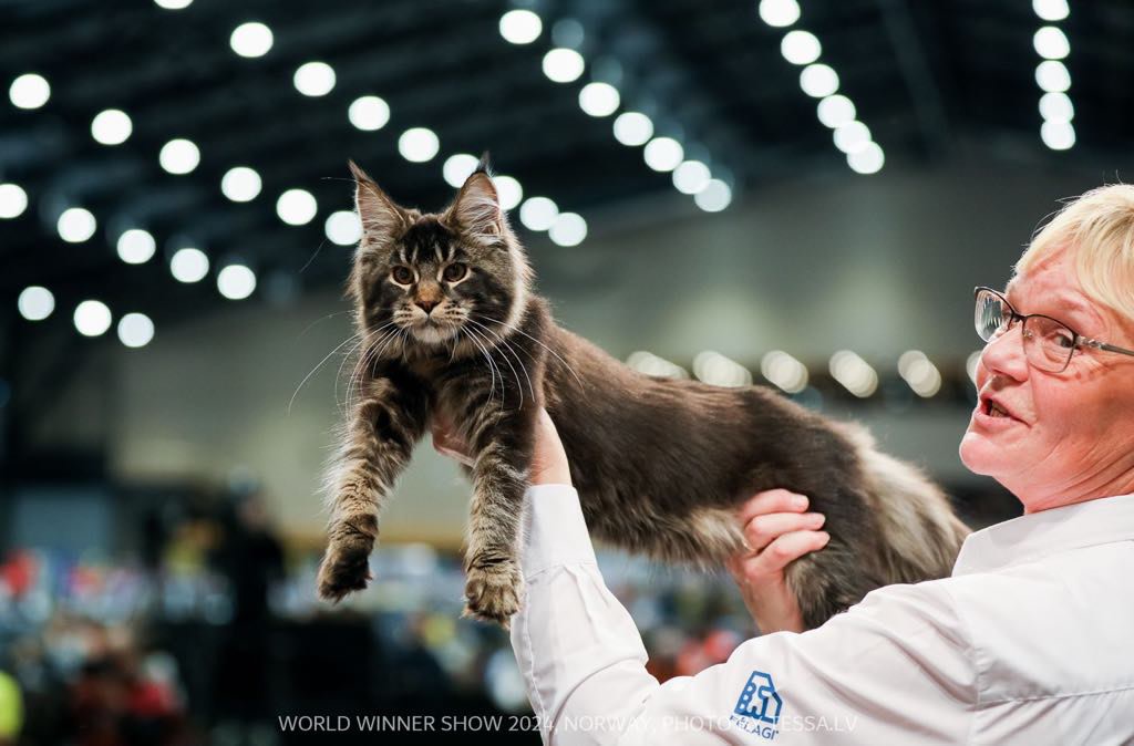 Cataleya of Gina's Dream