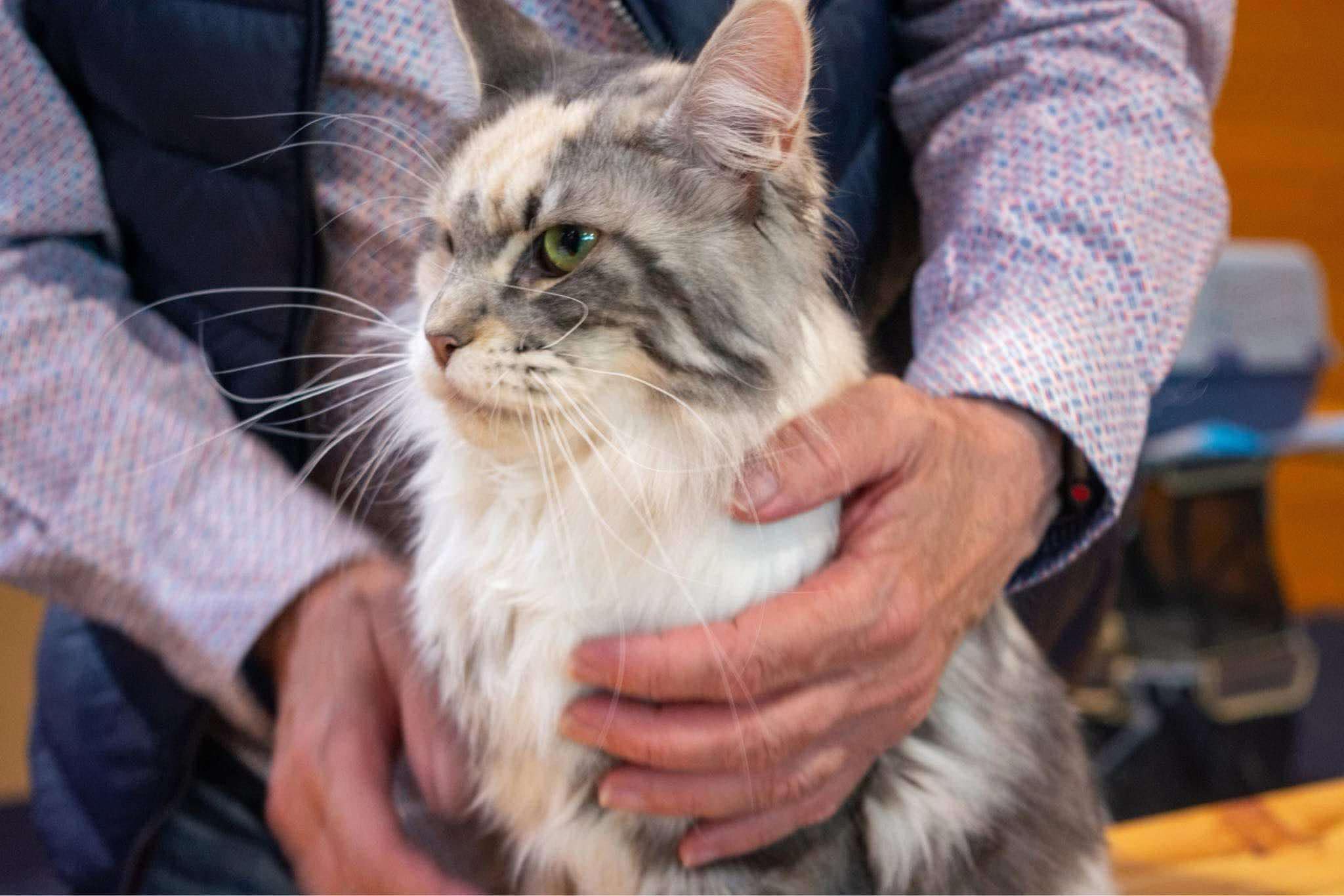 Nadira of Gina's Dream