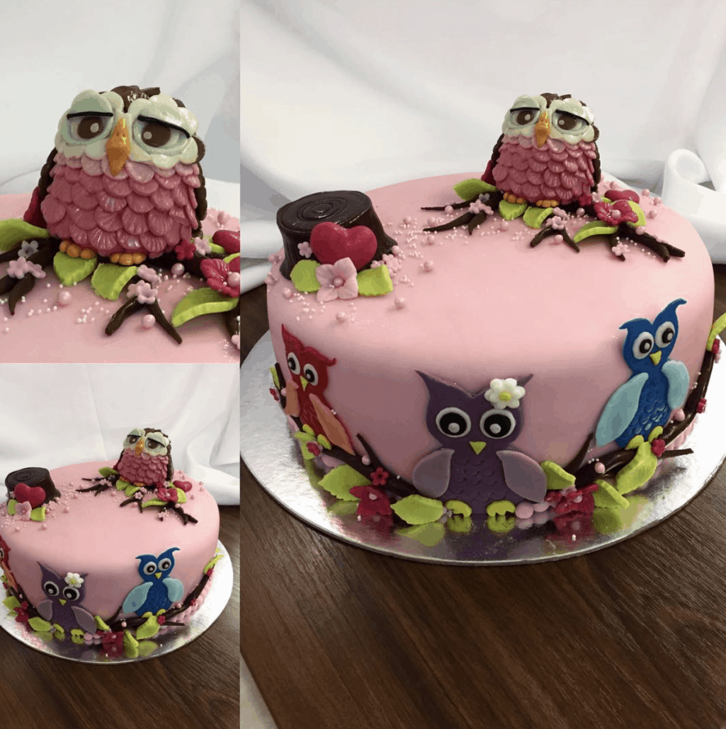 Detska torta sova 3d na konari detska torta bratislava