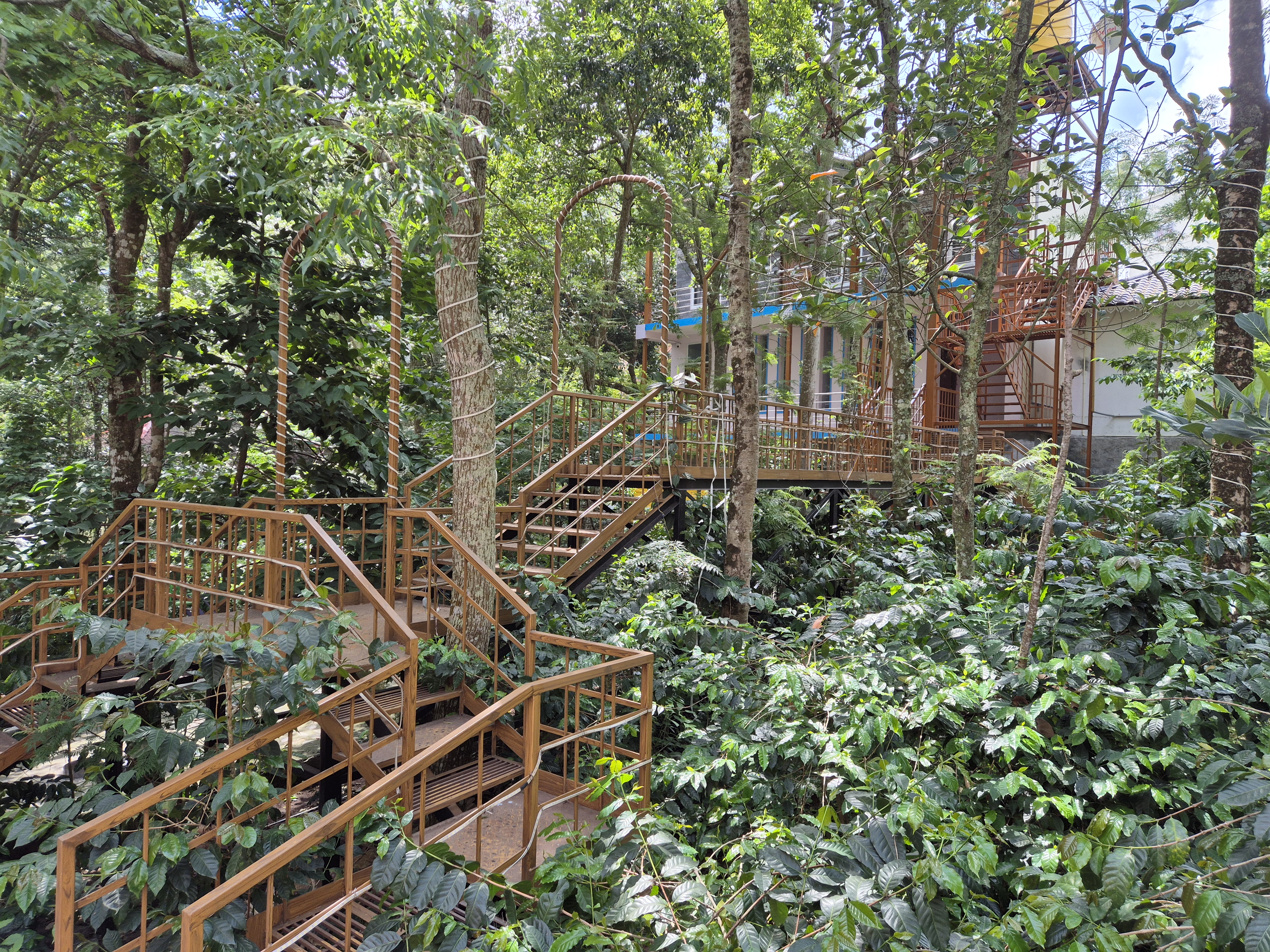 Gallery image 13