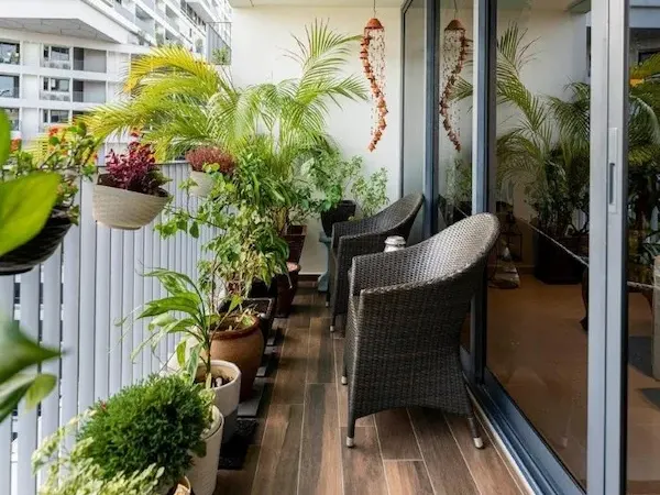 Ảnh bìa của bài viết Top Cây Trồng Chịu Nắng Tốt Nhất Cho Ban Công Chung Cư & Sân Vườn