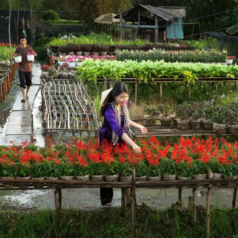 Ảnh bìa của bài viết