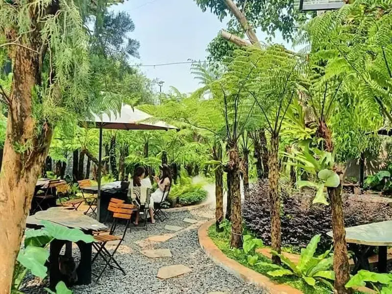 cây trang trí quán cà phê