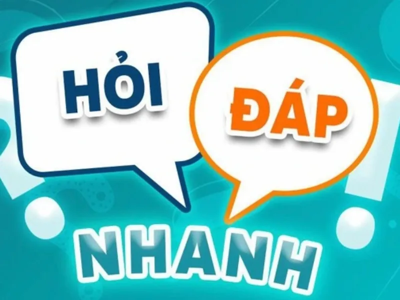 hỏi đáp về cây trang thái