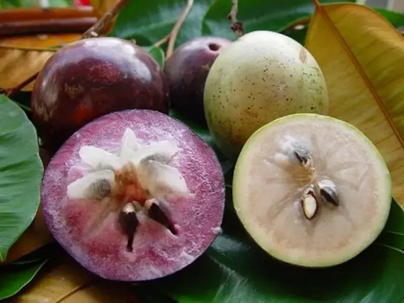 Ảnh bìa của bài viết