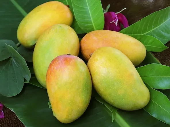 Ảnh bìa của bài viết