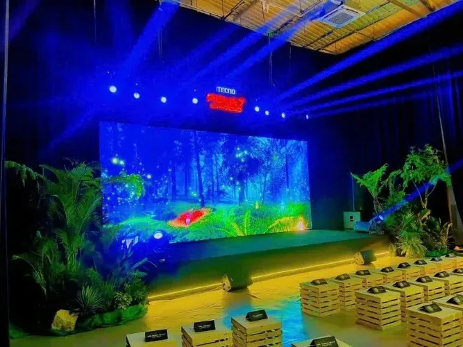 cây cho thuê đẹp