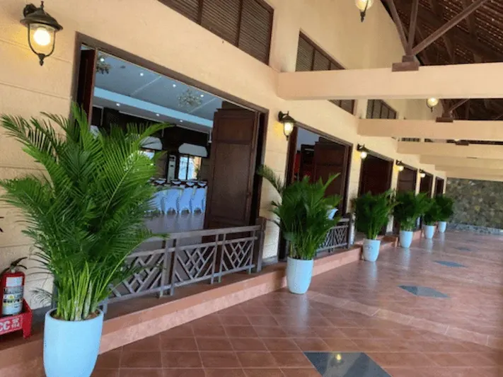 cây cho thuê văn phòng