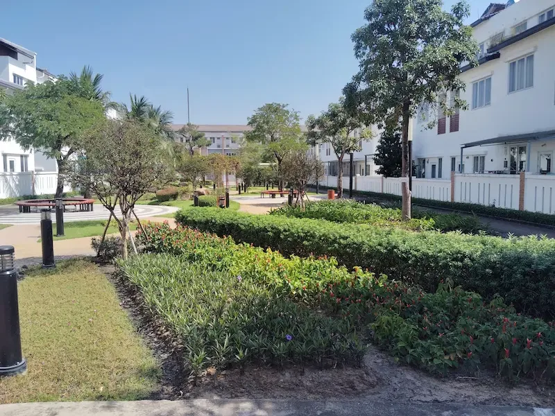 Vườn cây bụi công nghiệp
