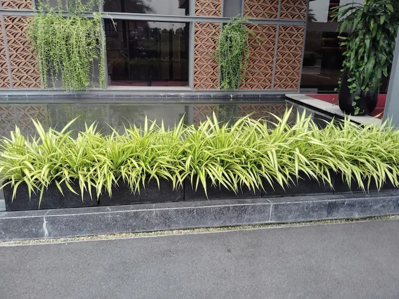 Cảnh quan xanh công nghiệp