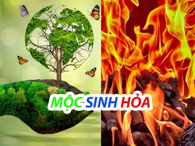 mệnh hợp