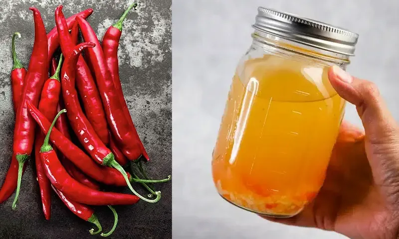Dung dịch tỏi ớt tự nhiên