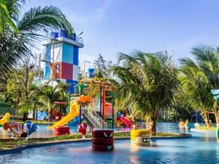 Ảnh bìa của bài viết Các Loài Cây Thích Hợp Trồng Hồ Bơi