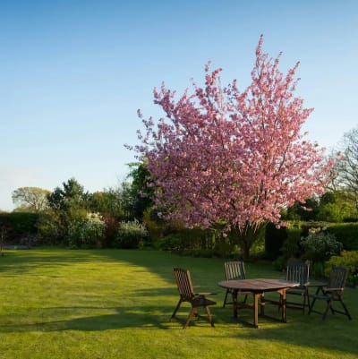 Ảnh bìa của bài viết