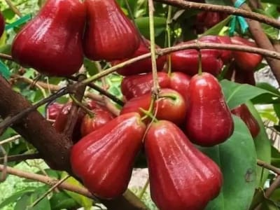 Ảnh bìa của bài viết