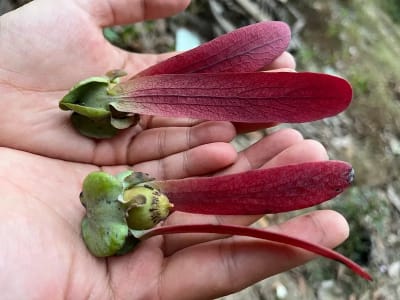 Ảnh bìa của bài viết