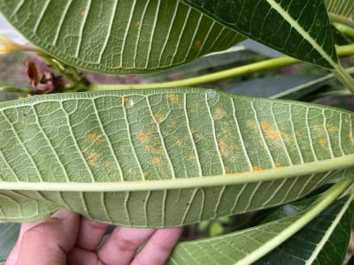 Ảnh bìa của bài viết