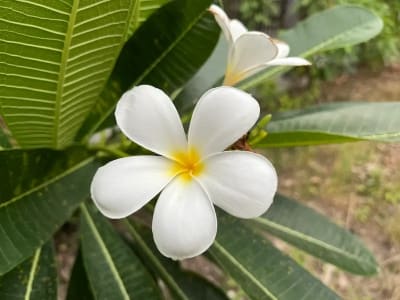 Ảnh bìa của bài viết