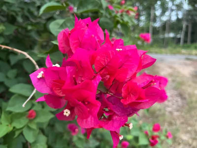 Ảnh bìa của bài viết