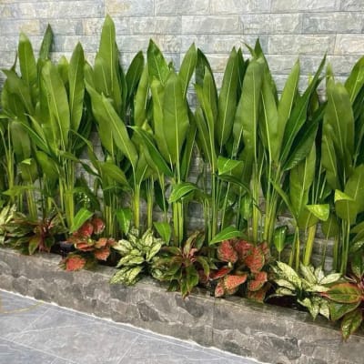 Ảnh bìa của bài viết