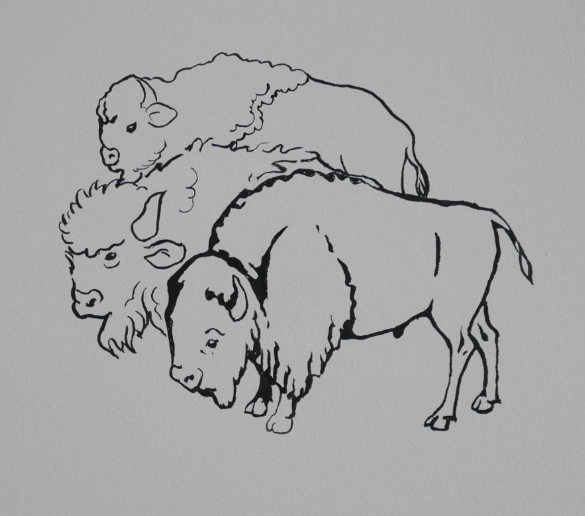 Speleogenesis Exhibition