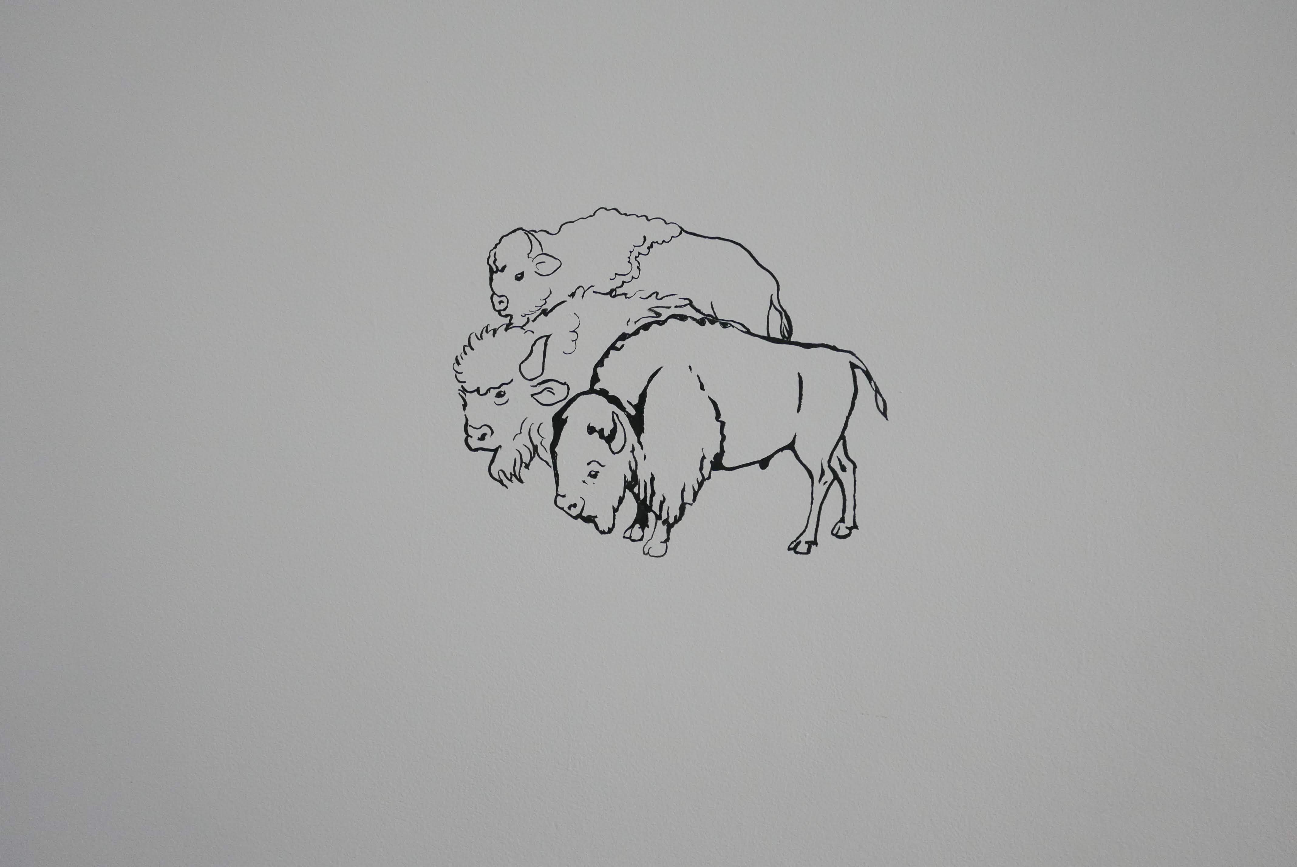 Speleogenesis Image 3