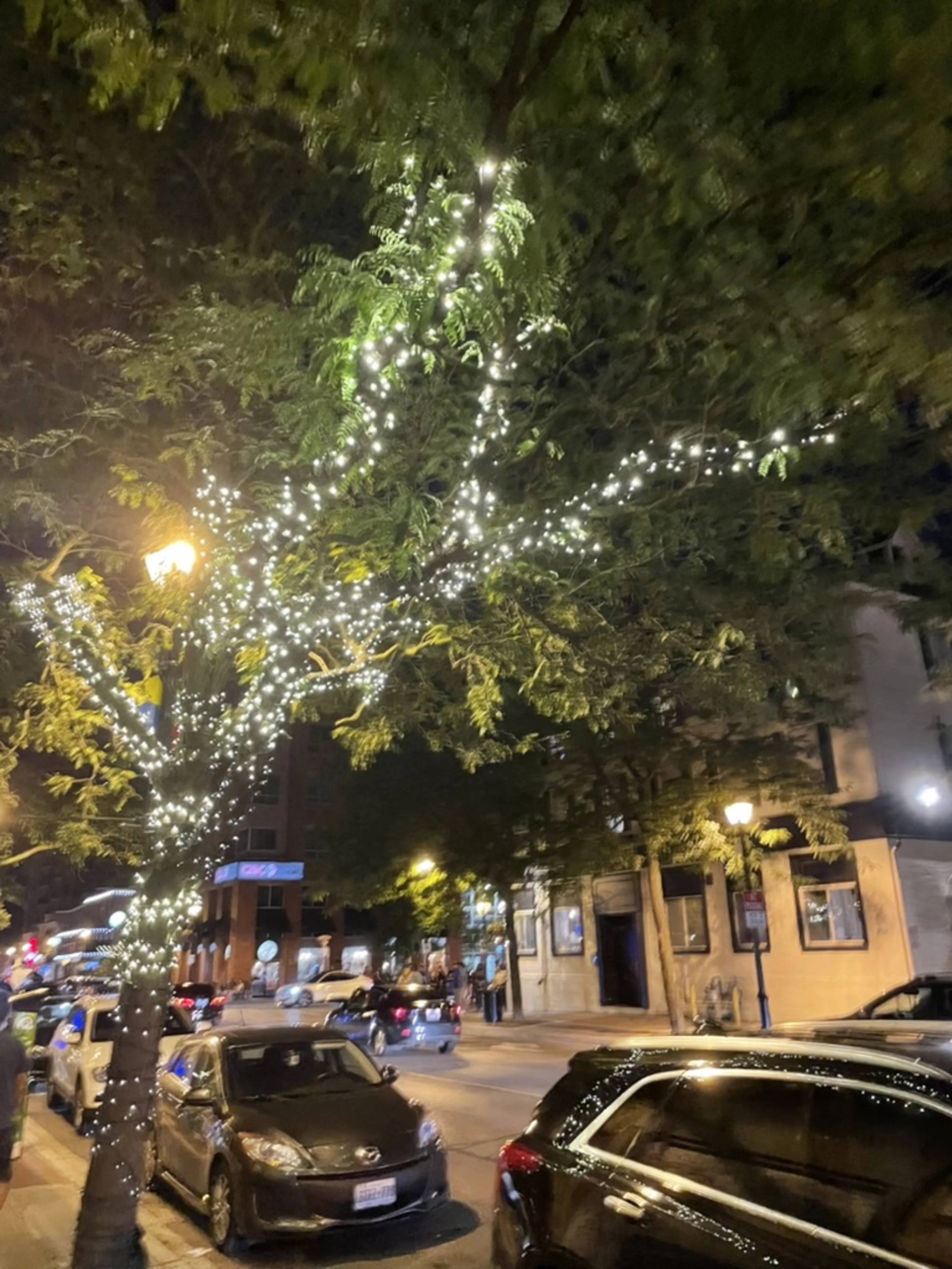 1F21D1EB-A28A-4974-9871-FBF34A4681BF_1_105_c_pzx9lo