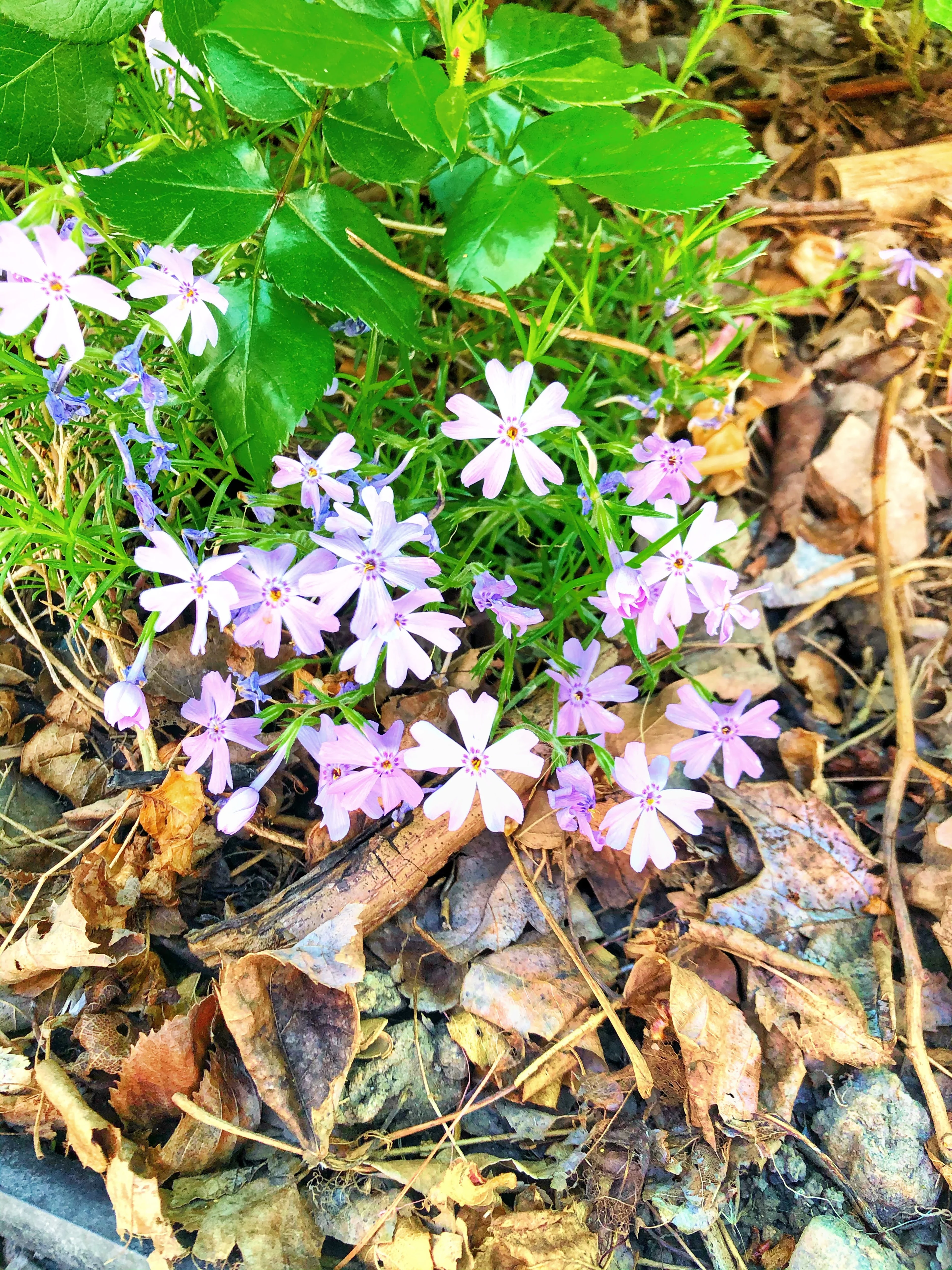 ikz0vlwhiigmjp4jbkkp