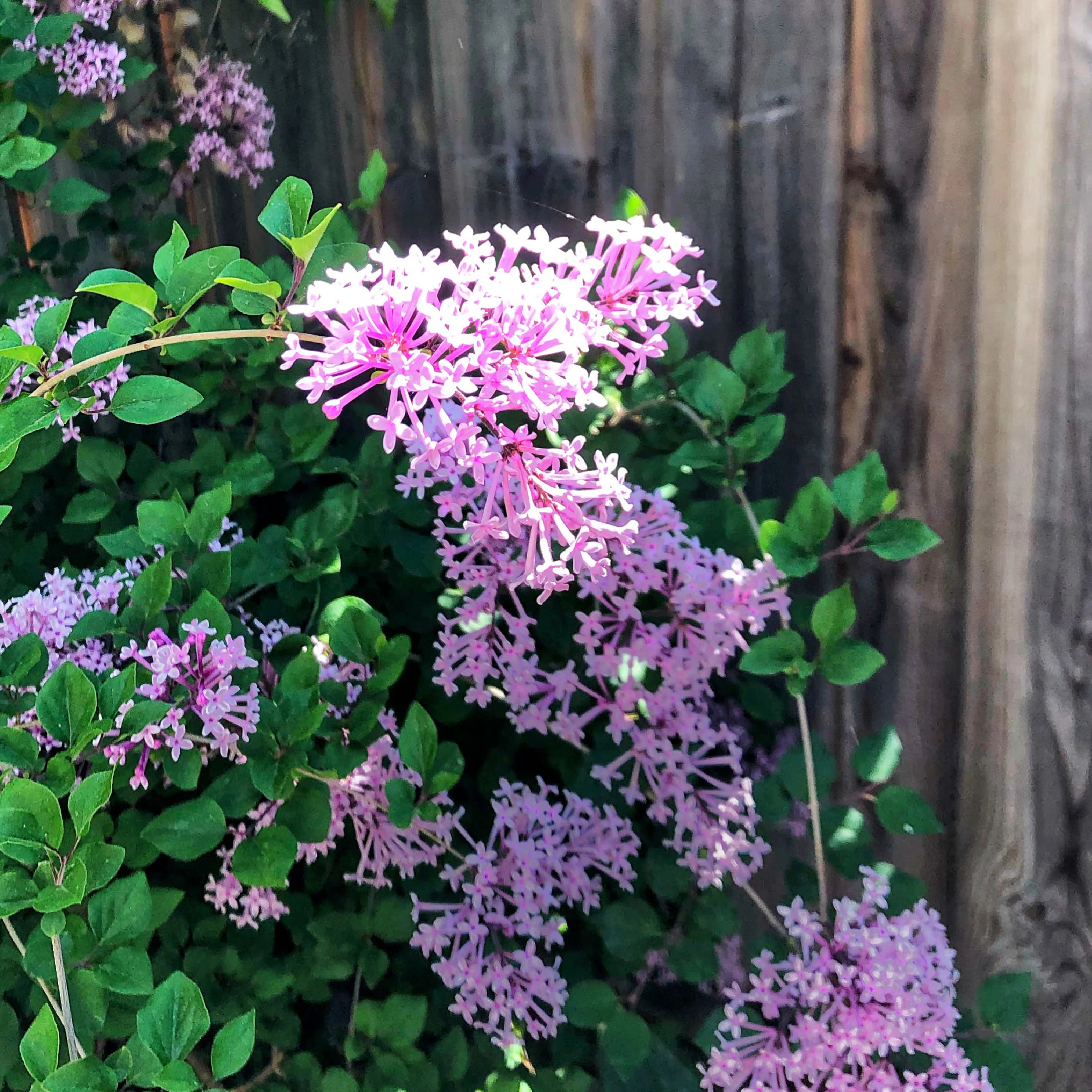 kdkjppvrv9v3kgbingeb